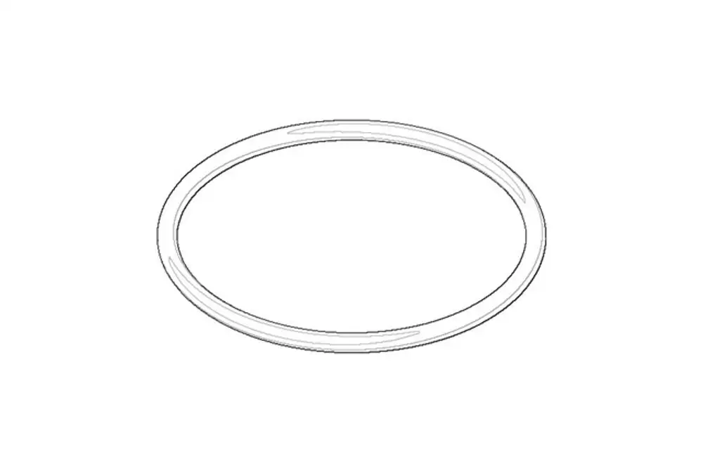 DORNBRACHT O-Ring ERSATZTEILE 091410196 54 x 3 mm, 09141019690 Galeriebild 1